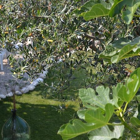 Giardinotto Casa Vacanze Altino  Kültér fotó